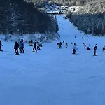 Pineta Holiday home *