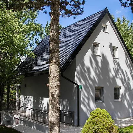 Pineta Hébergement de vacances