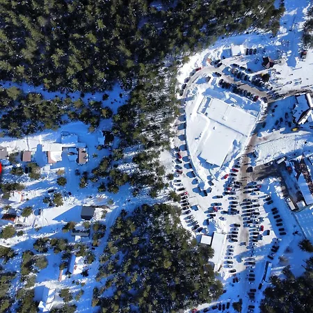 Hébergement de vacances Pineta *