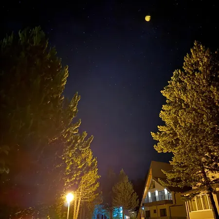 Pineta * Blidinje