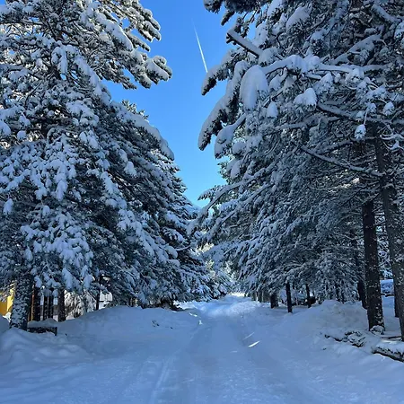 Pineta * Blidinje