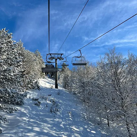 Pineta * Blidinje