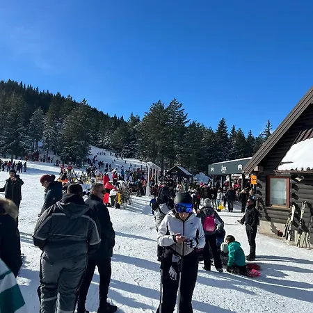 Pineta * Blidinje