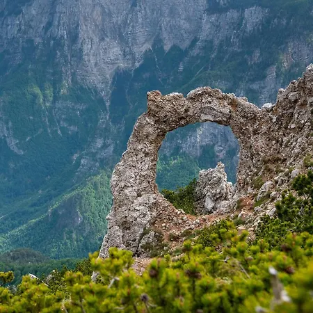 Hébergement de vacances Pineta *