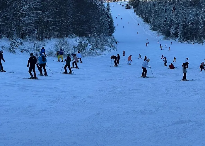 Pineta Holiday home *